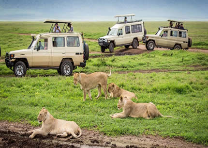3 Days Tanzania Luxury Safari