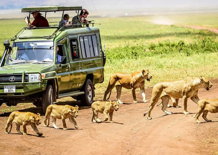Tanzania Safaris Itinerary